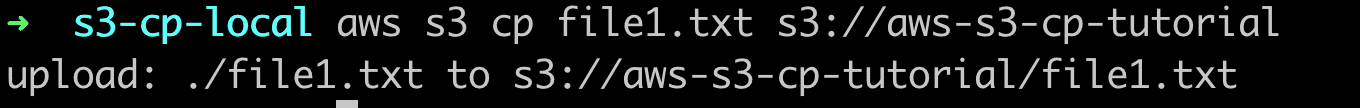 aws s3 cp example