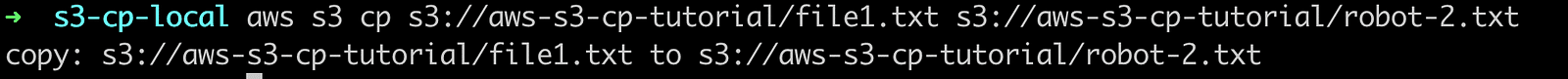 aws s3 cp to local